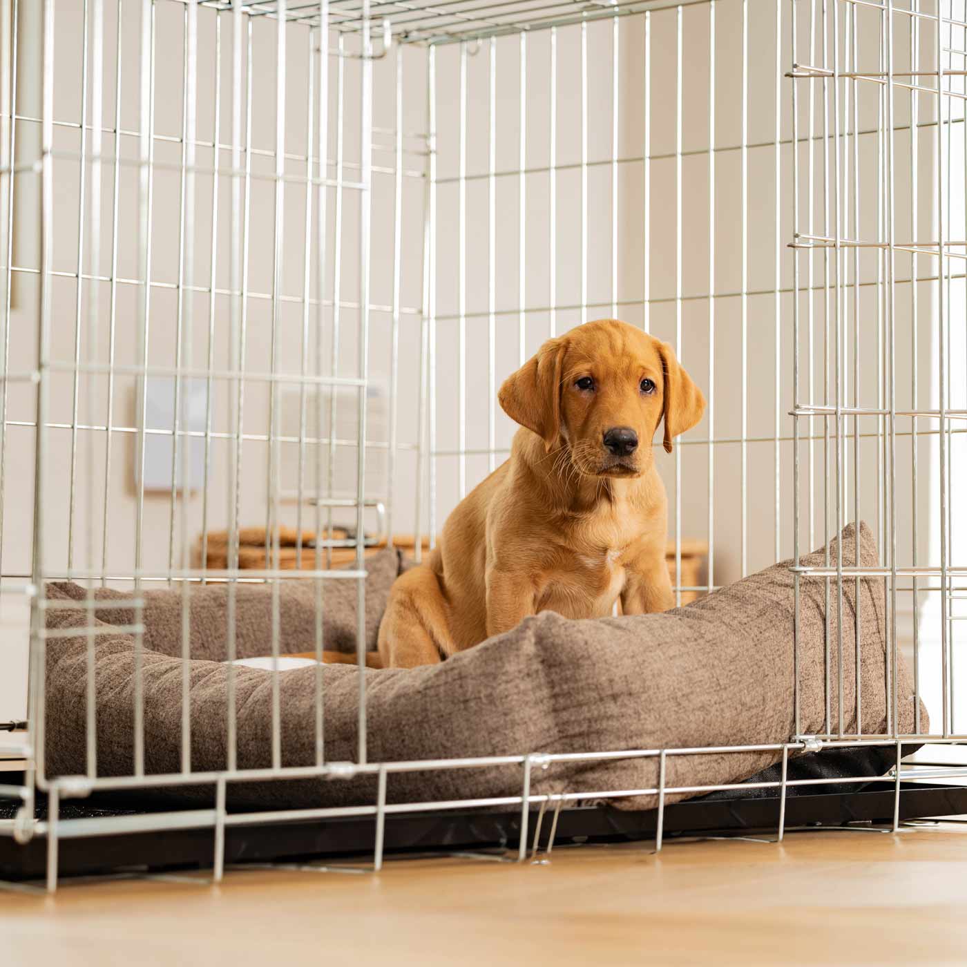 Cozy & Calming Puppy Cage Bed In Inchmurrin Umber Variant 2