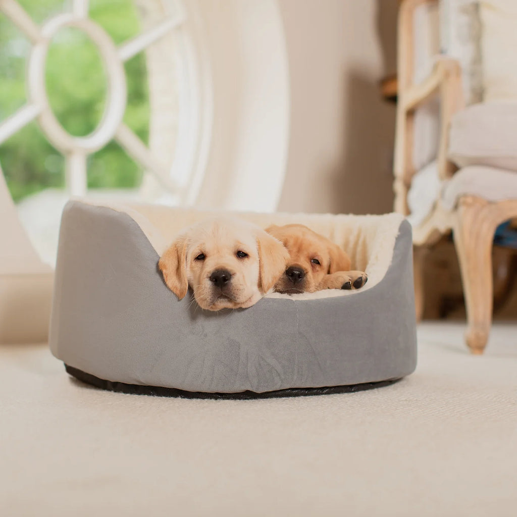 Grow With Me Puppy Bed in Grey