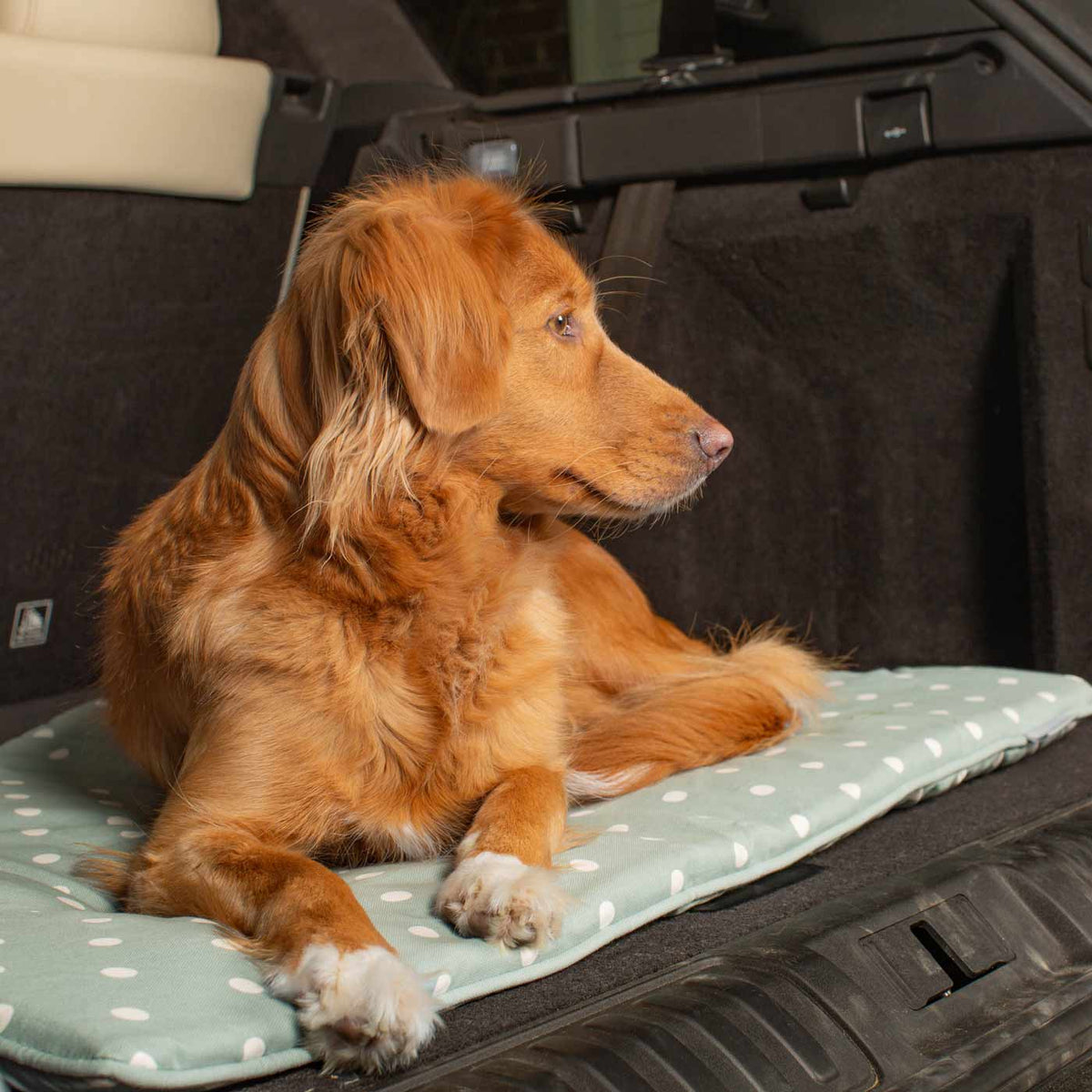 Travel Mat in Duck Egg Spot