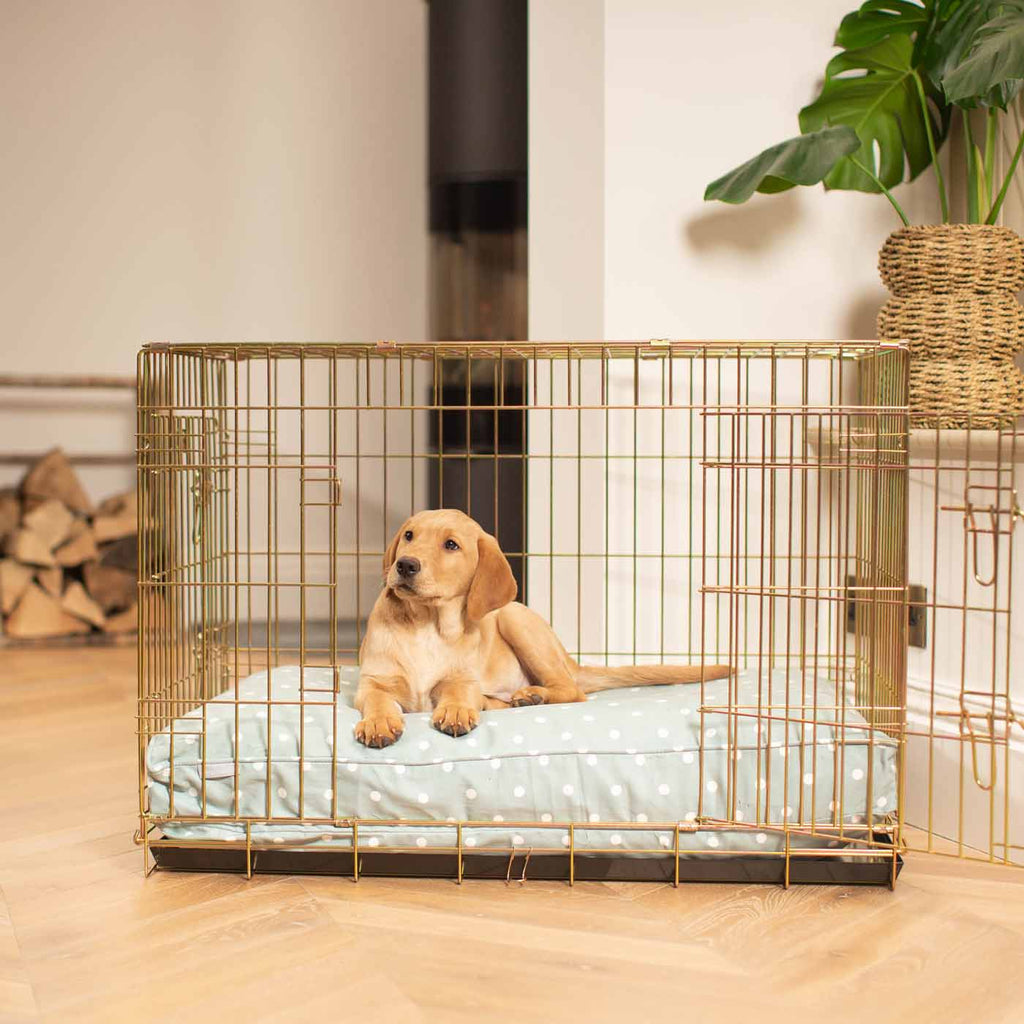 Dog Cushion in Duck Egg Spot