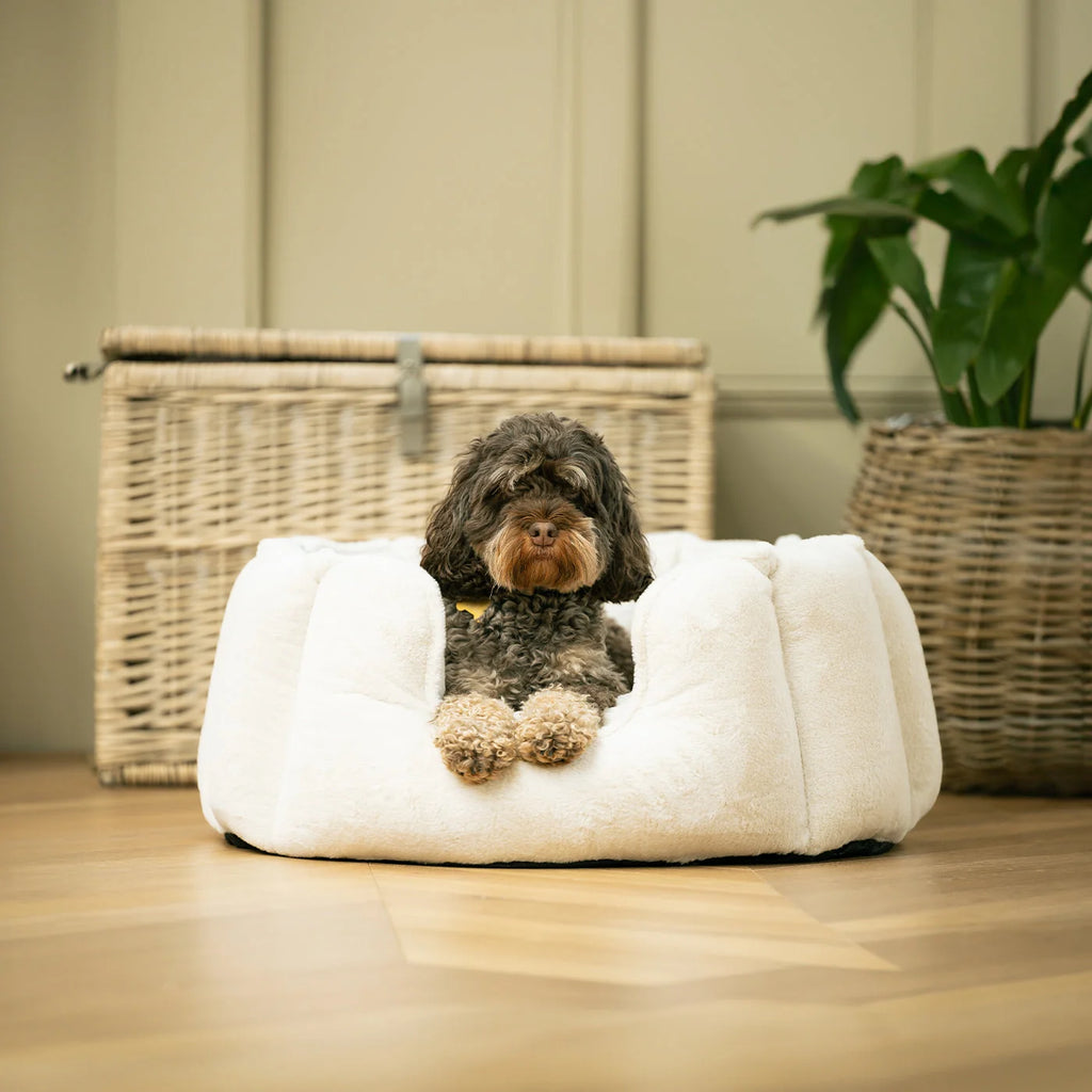 High Wall Bed For Dogs in Calming Anti Anxiety Cream Faux Fur