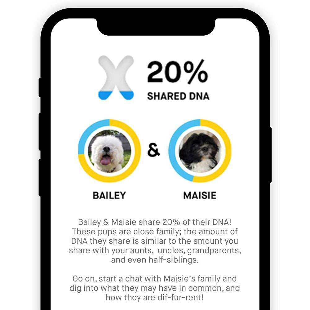 Dog DNA Test and Breed Identification Kit