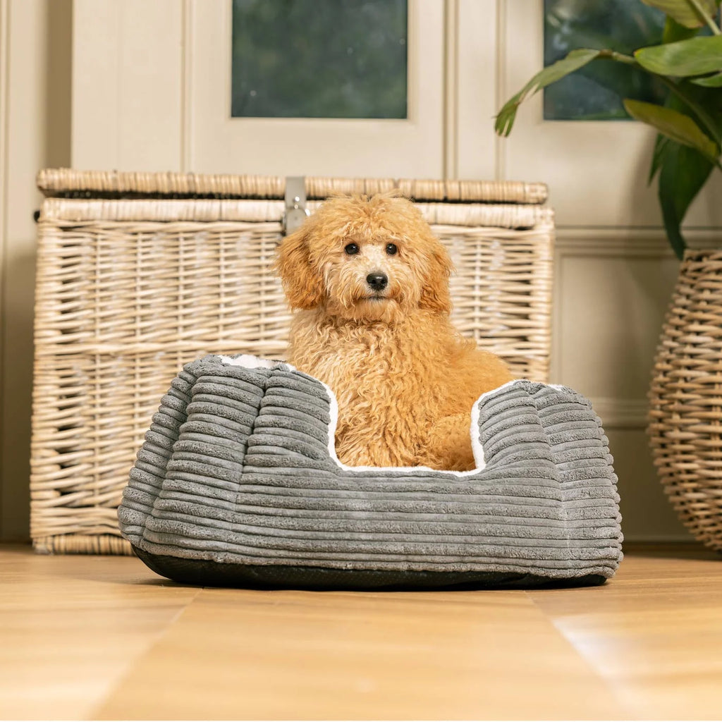 High Wall Bed For Dogs in Essentials Plush