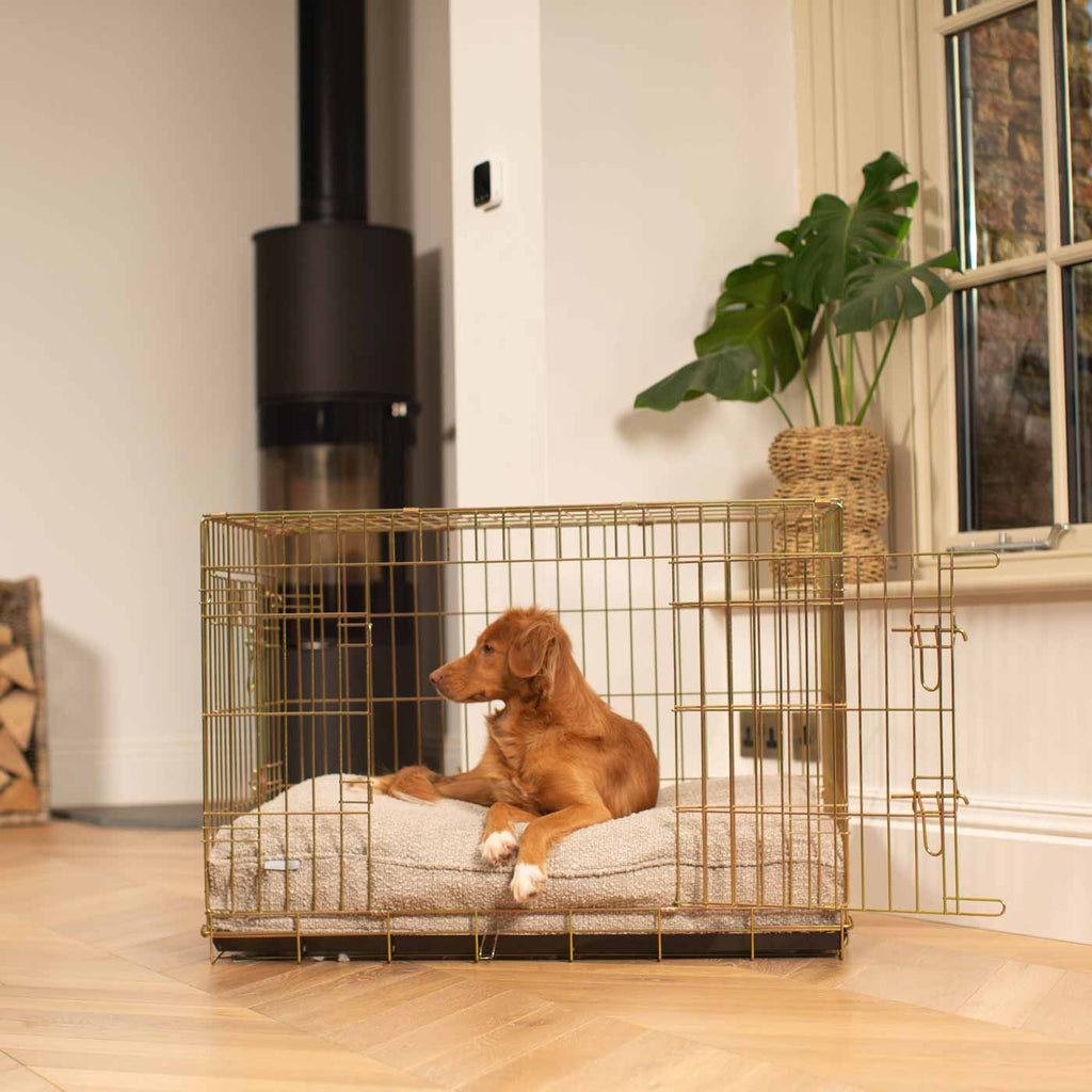Dog Cushion in Mink Bouclé