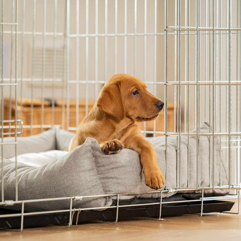 Cozy & Calming Puppy Cage Bed In Inchmurrin Ground