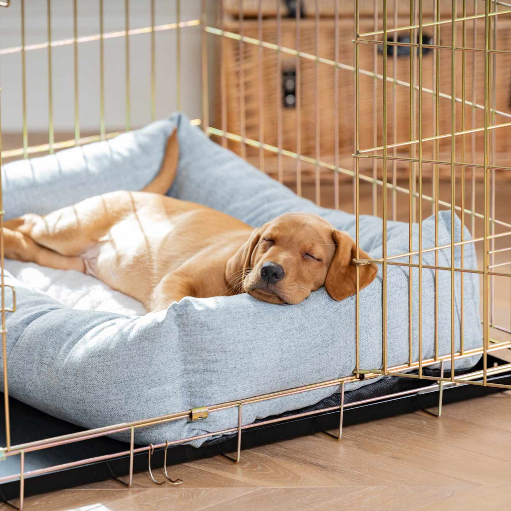 Cozy & Calming Puppy Cage Bed In Inchmurrin Iceberg