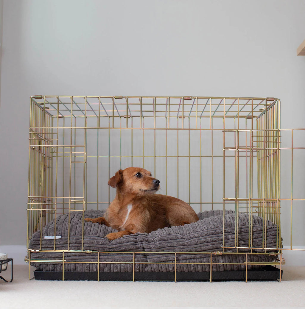 Dog Cushion in Dark Grey Essentials