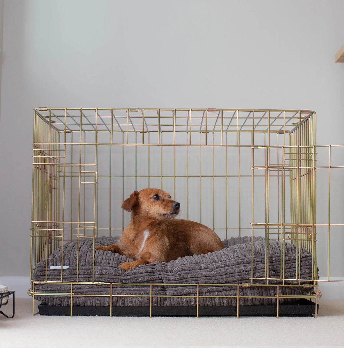 Dog Cushion in Dark Grey Essentials