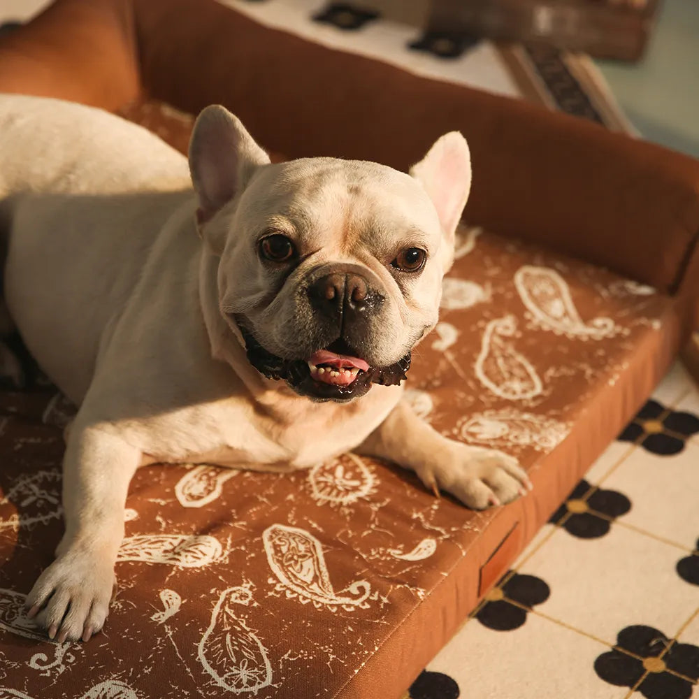 Large Dog Sofa Beds Pet Bed With Bolster