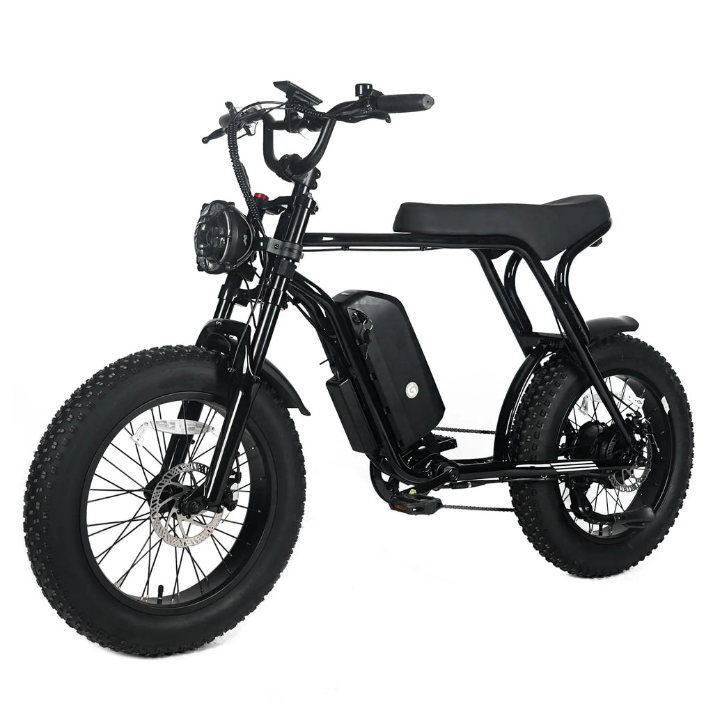 1000W Electric Mountain Bike for Adults with 20 x 4.0 Fat Tires, 48V 20Ah Removable Battery and 7-Speed