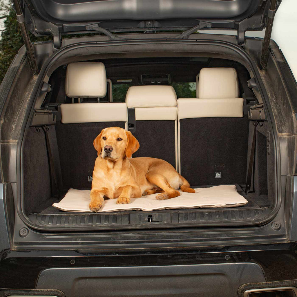 Travel Mat in Savanna Bone