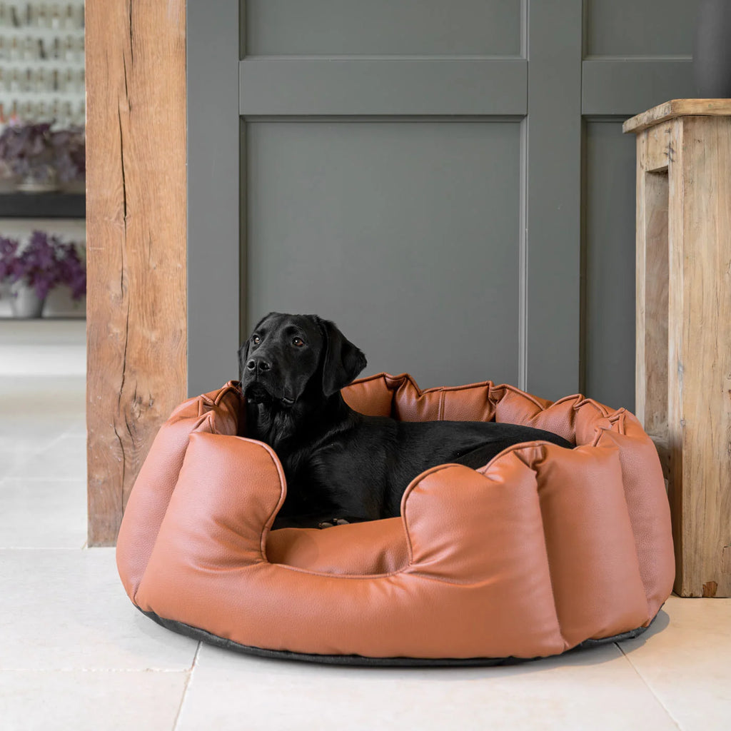 High Wall Bed in Rhino Tough Desert Faux Leather