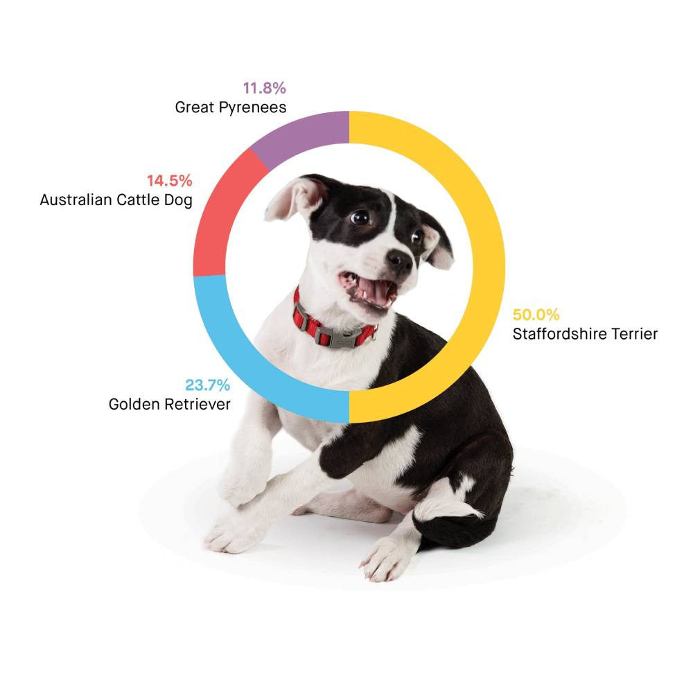 Dog DNA Test and Breed Identification Kit