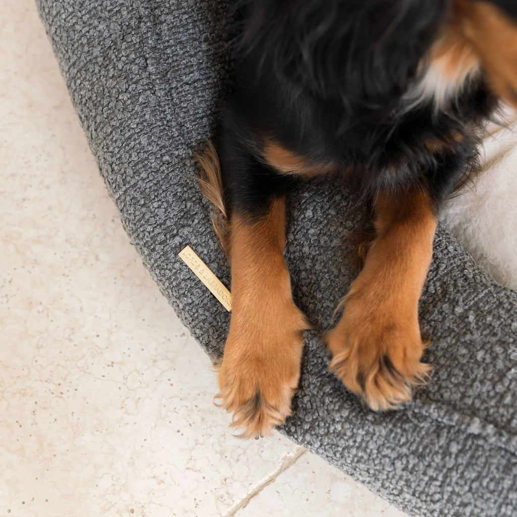 Box Bed For Dogs in Bouclé