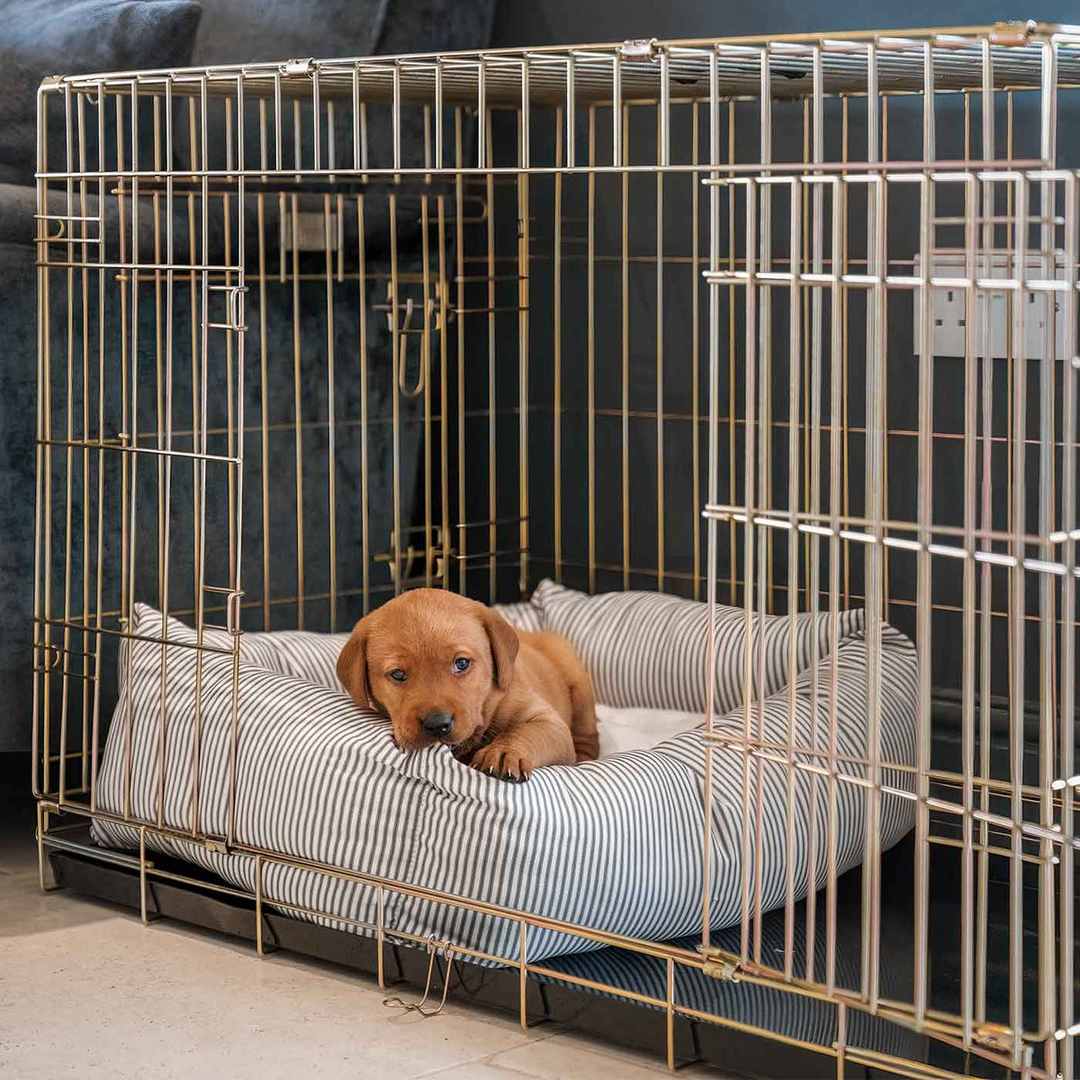 Cozy & Calming Puppy Cage Bed in Spots & Stripes