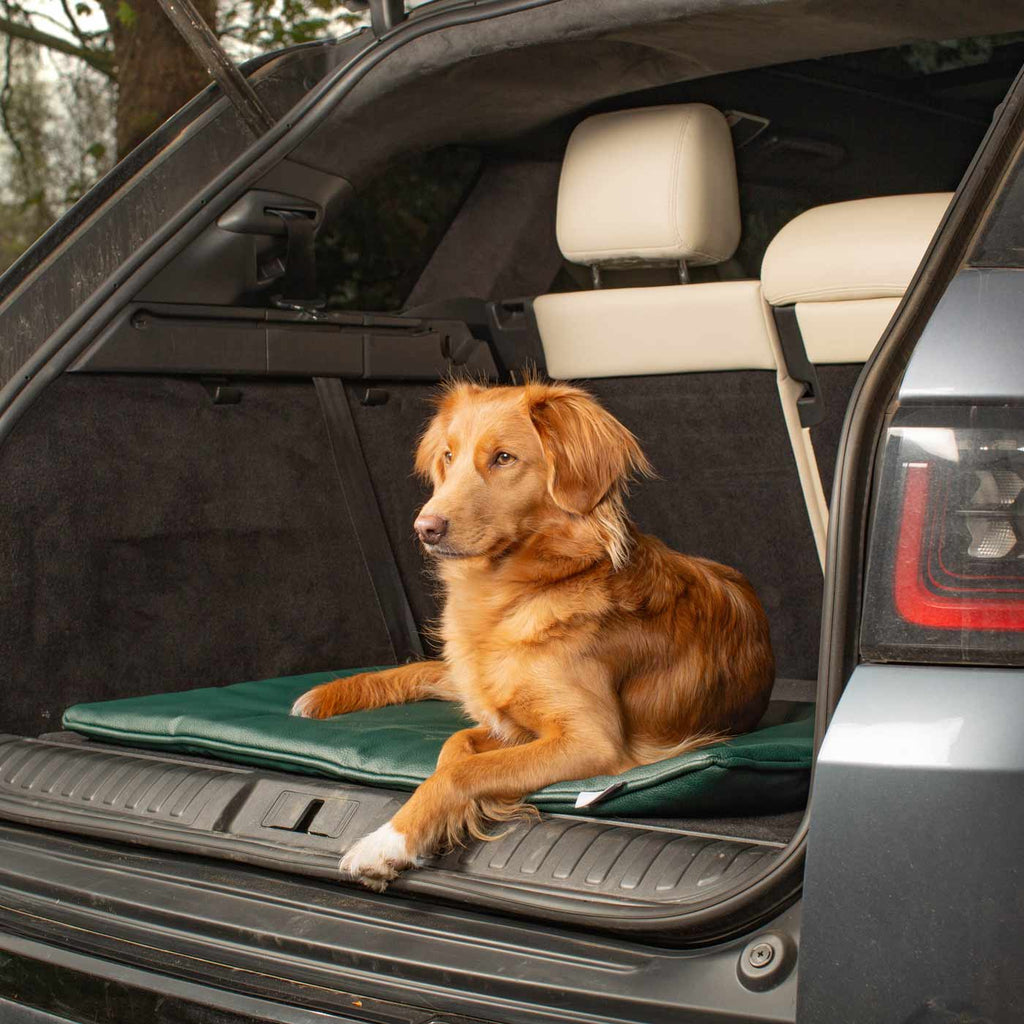 Travel Mat in Forest Rhino Faux Leather