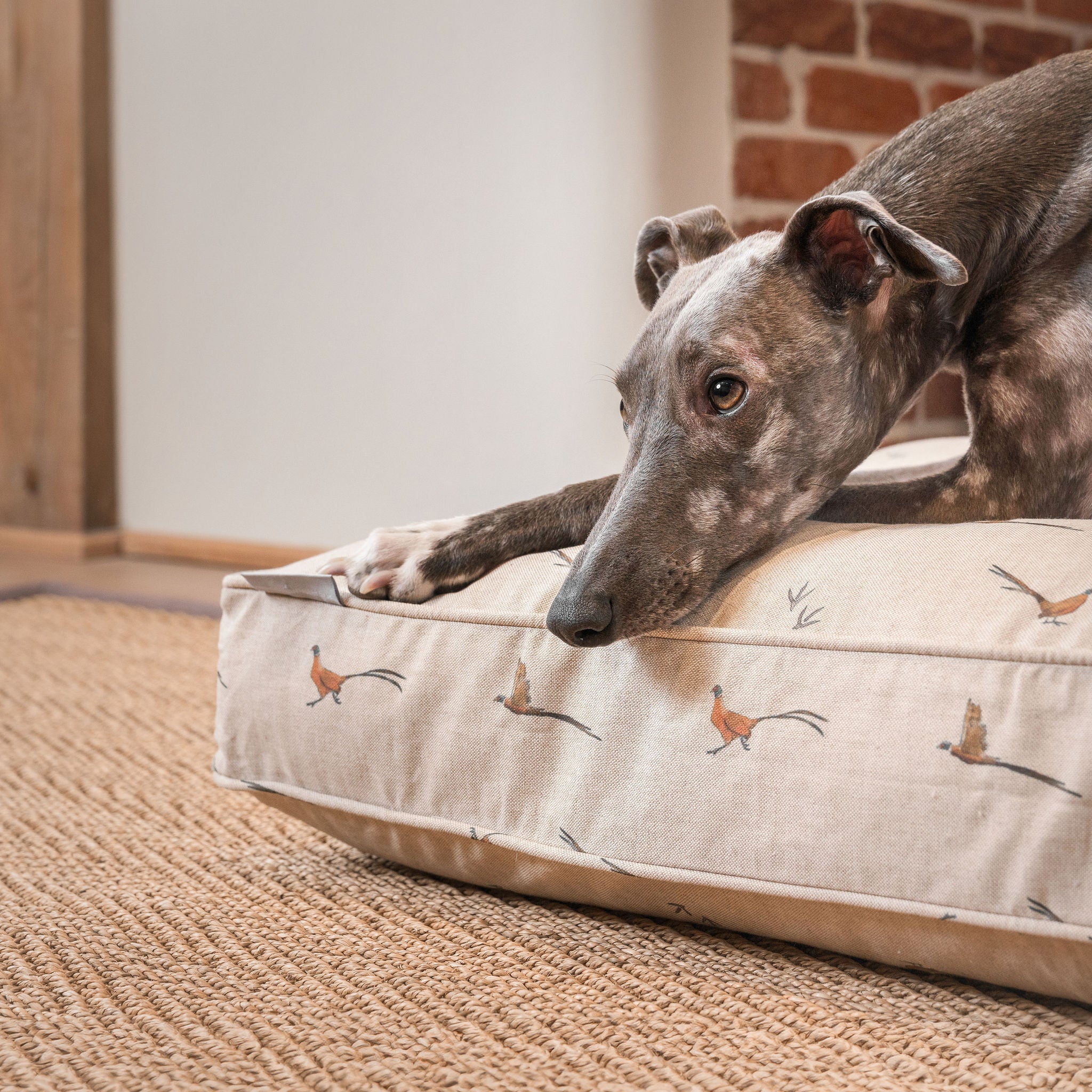 Dog Cushion in Woodland Pheasant