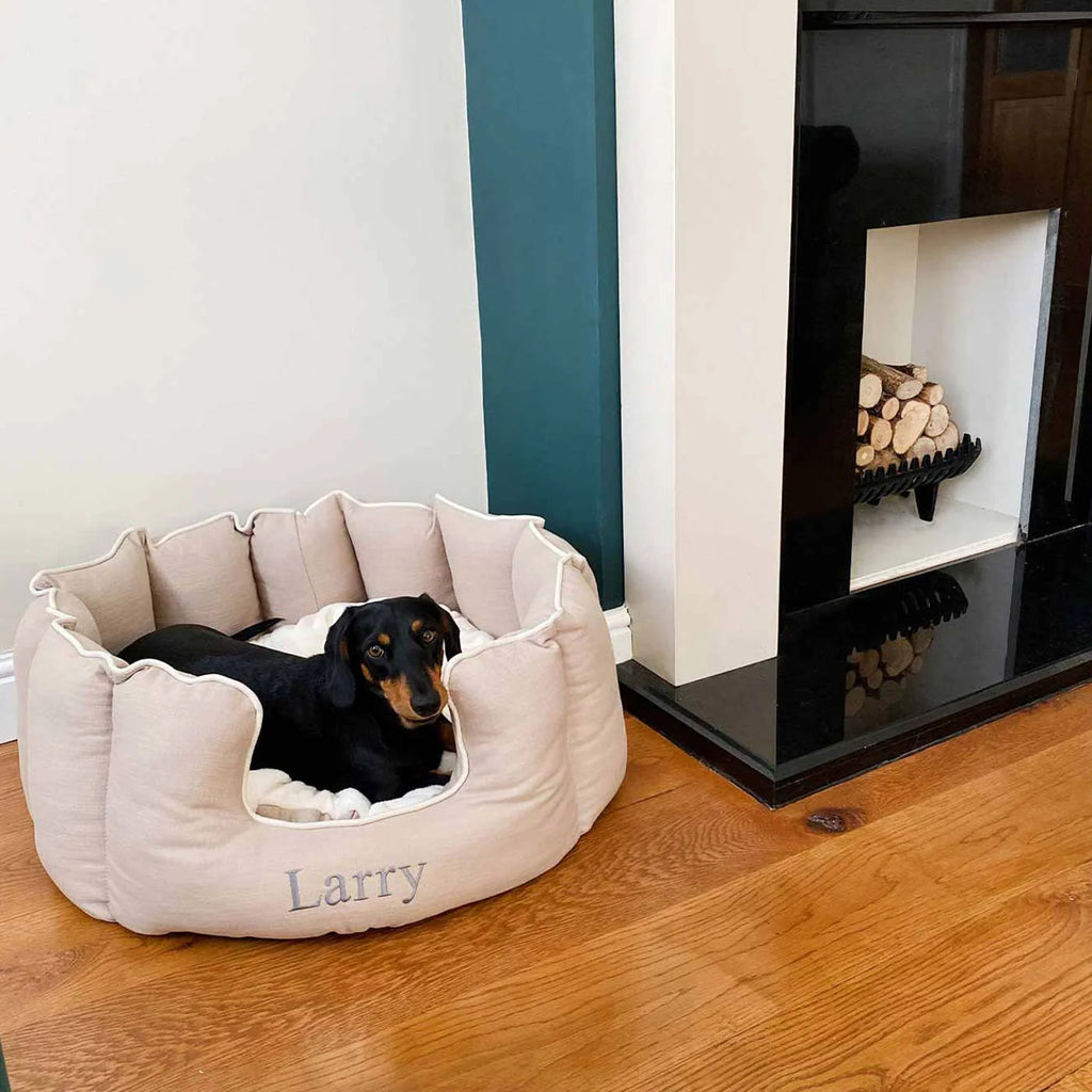 High Wall Bed For Dogs in Savanna
