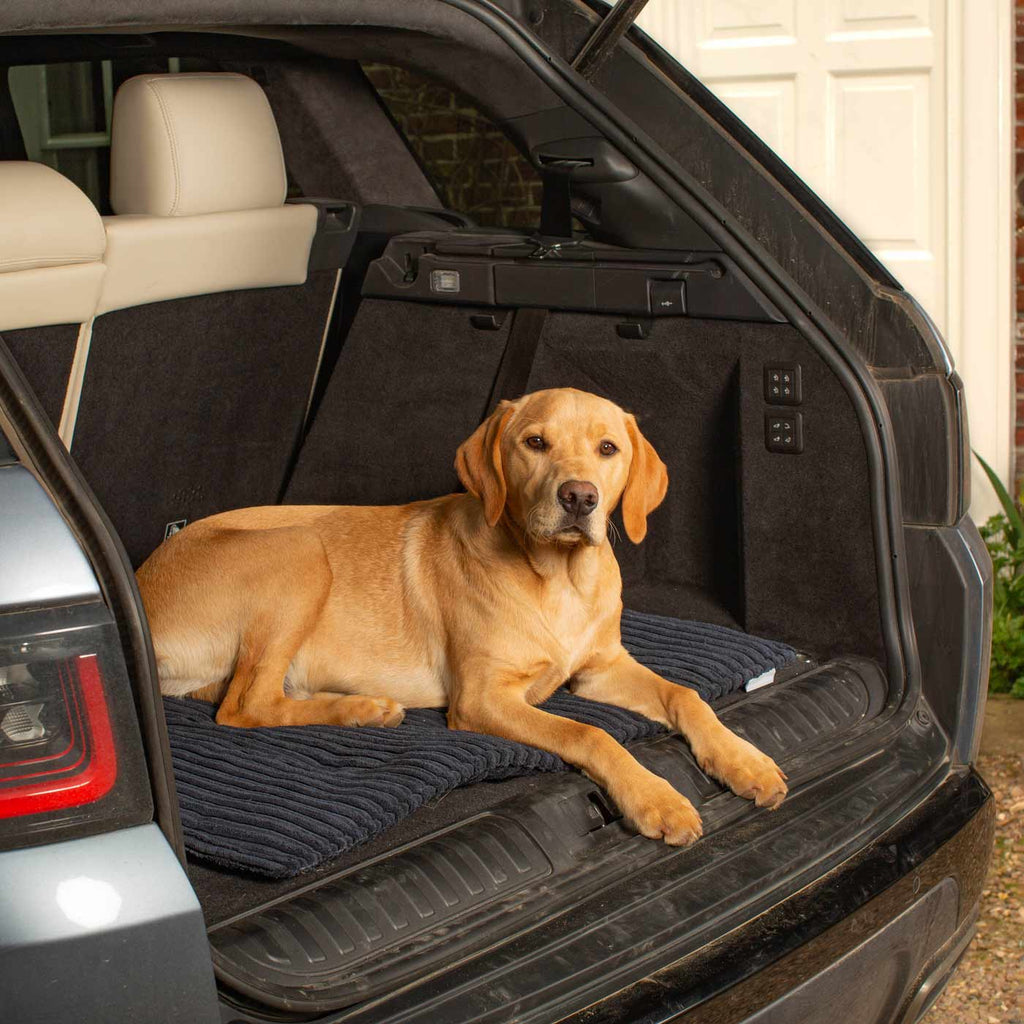 Travel Mat in Essentials Navy