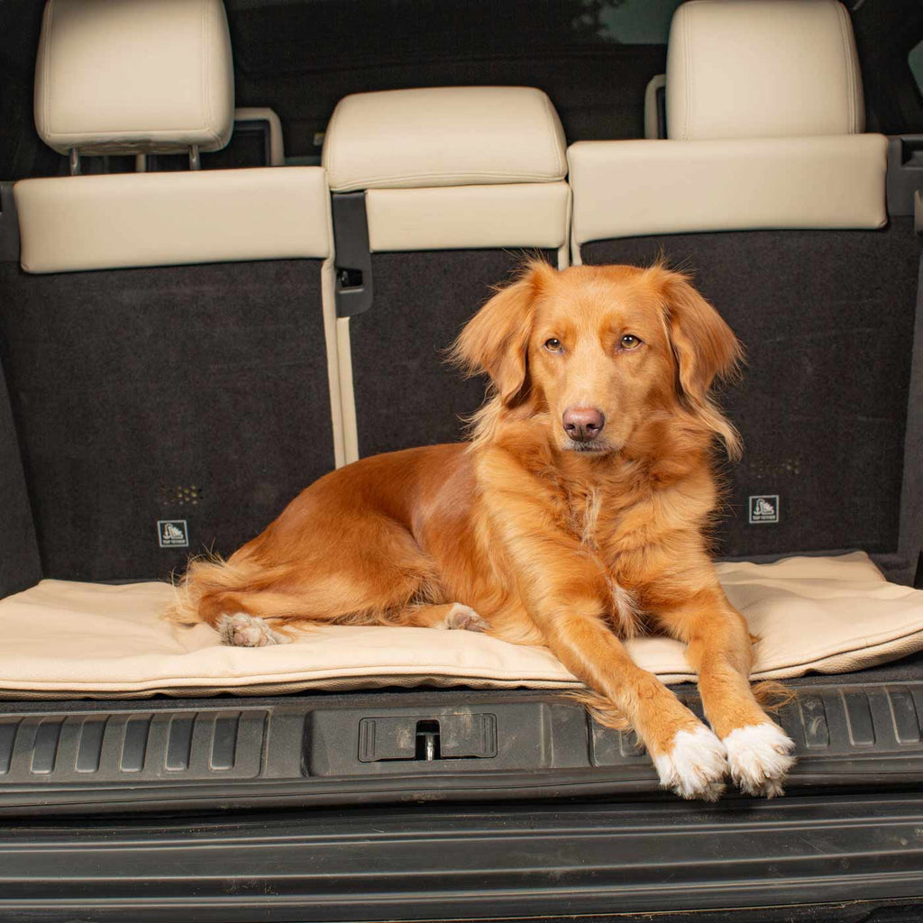 Travel Mat in Sand Rhino Faux Leather