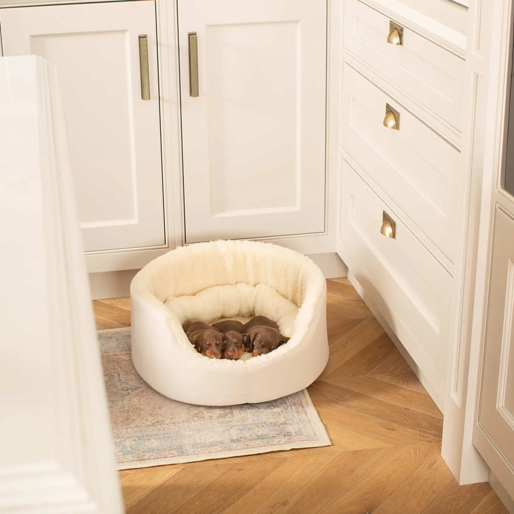 Grow With Me Puppy Bed in Cream