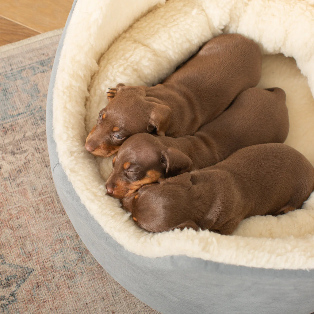 Grow With Me Puppy Bed in Grey