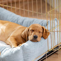 Cozy & Calming Puppy Cage Bed In Inchmurrin Iceberg