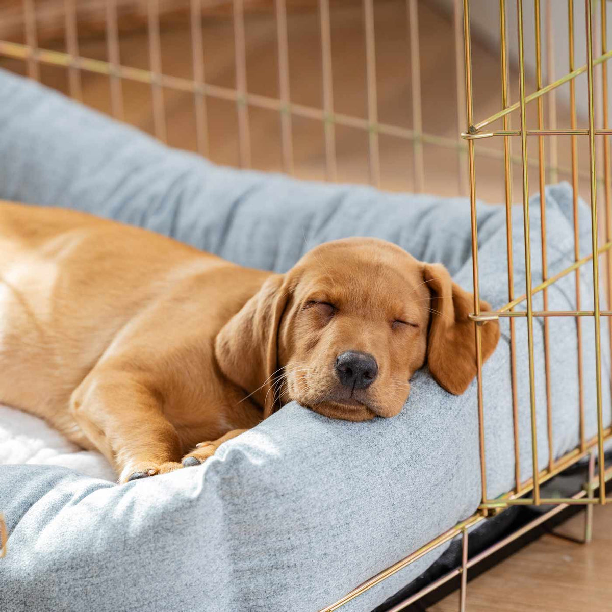 Cozy & Calming Puppy Cage Bed In Inchmurrin Iceberg