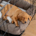 Cozy & Calming Puppy Cage Bed In Inchmurrin Umber