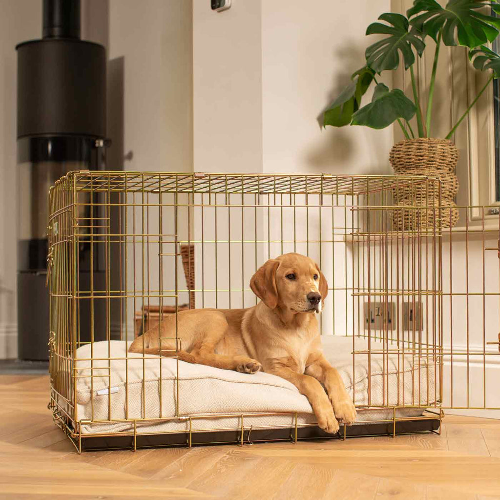 Dog Cushion in Natural Herringbone Tweed