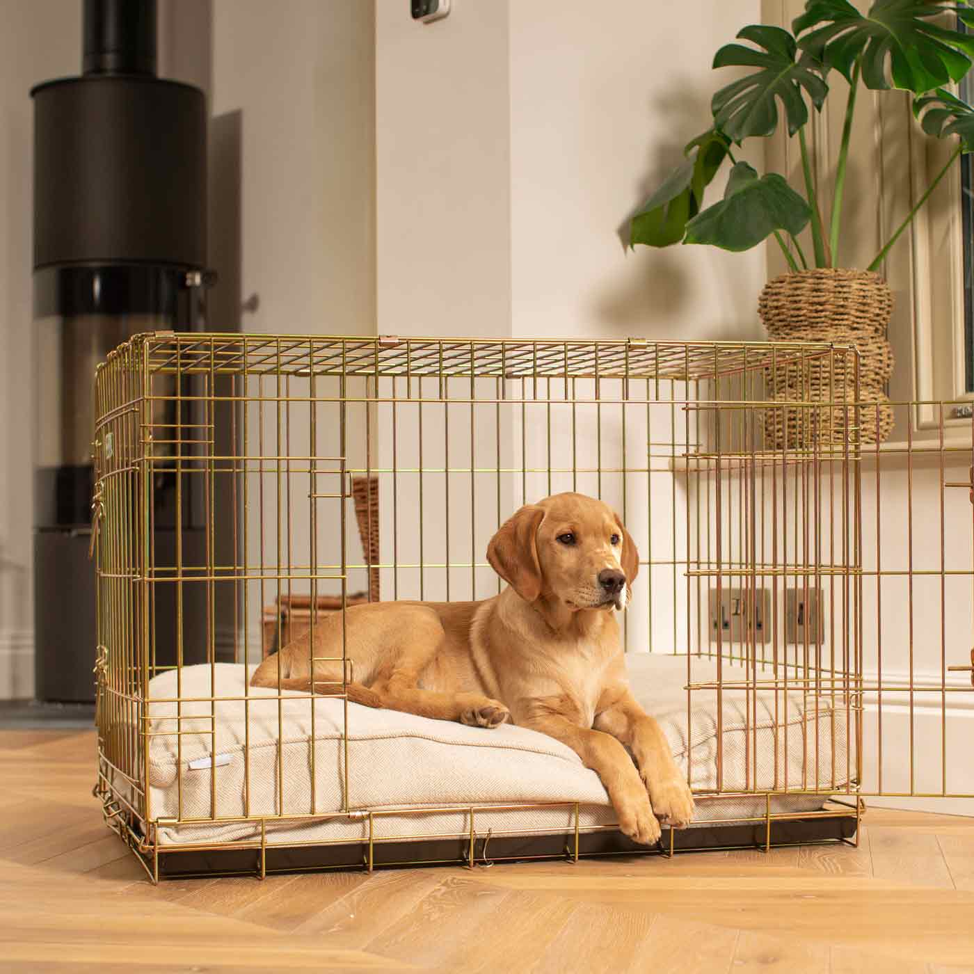 Dog Cushion in Natural Herringbone Tweed