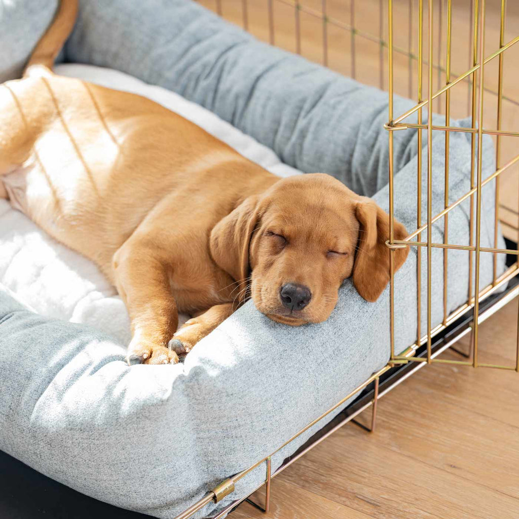 Cozy & Calming Puppy Cage Bed In Inchmurrin Iceberg