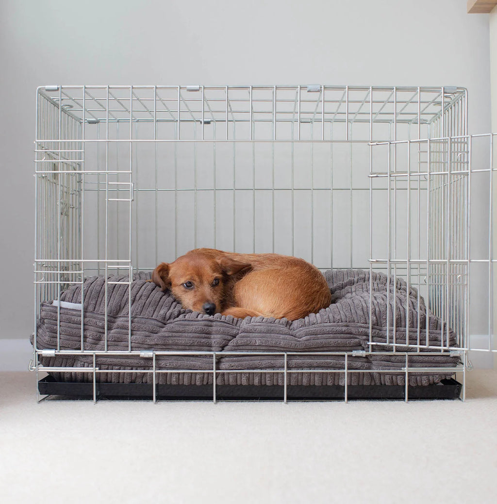 Dog Cushion in Dark Grey Essentials