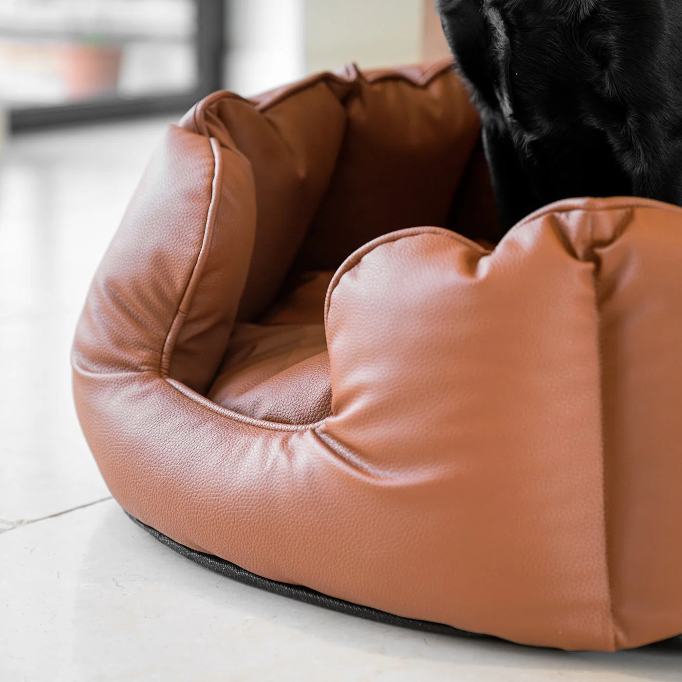 High Wall Bed in Rhino Tough Desert Faux Leather