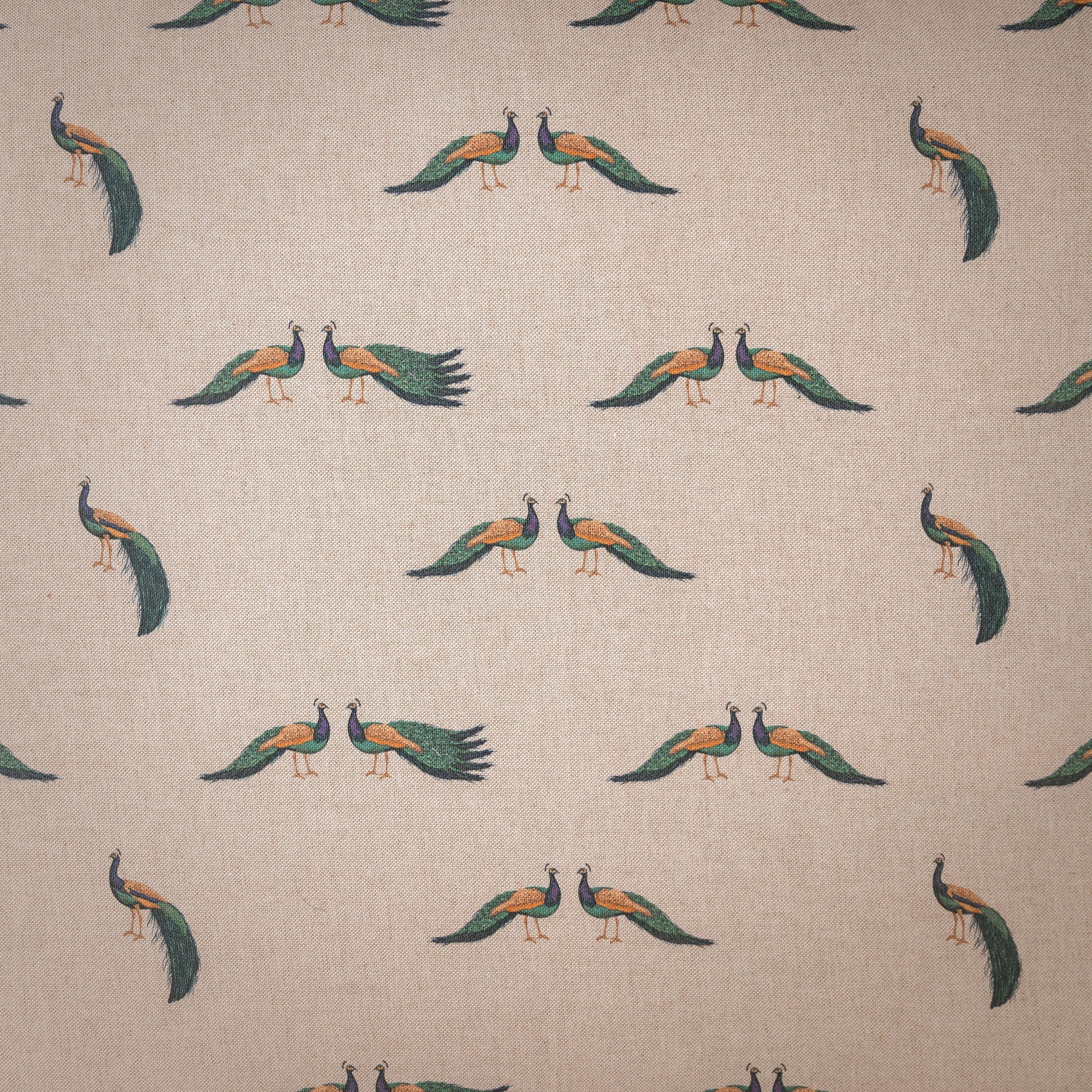 Dog Cushion in Woodland Peacock