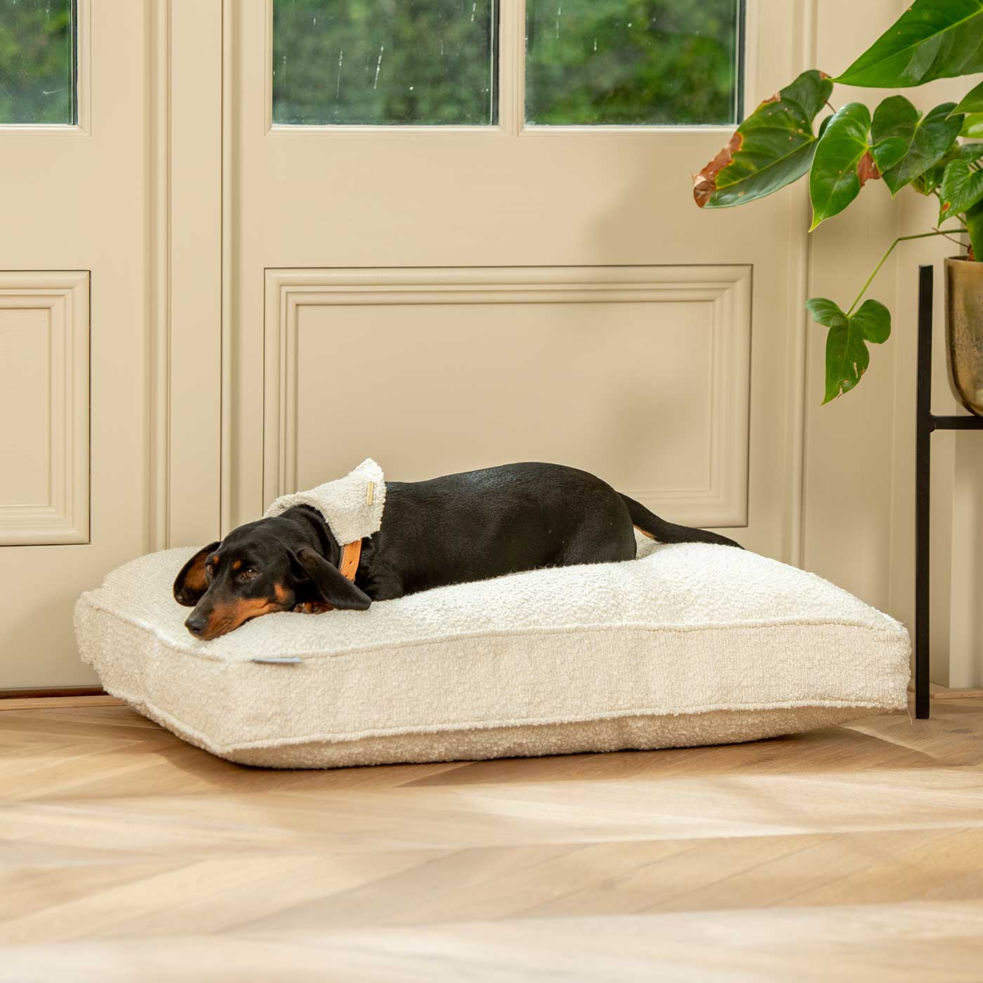 Dog Cushion in Ivory Bouclé