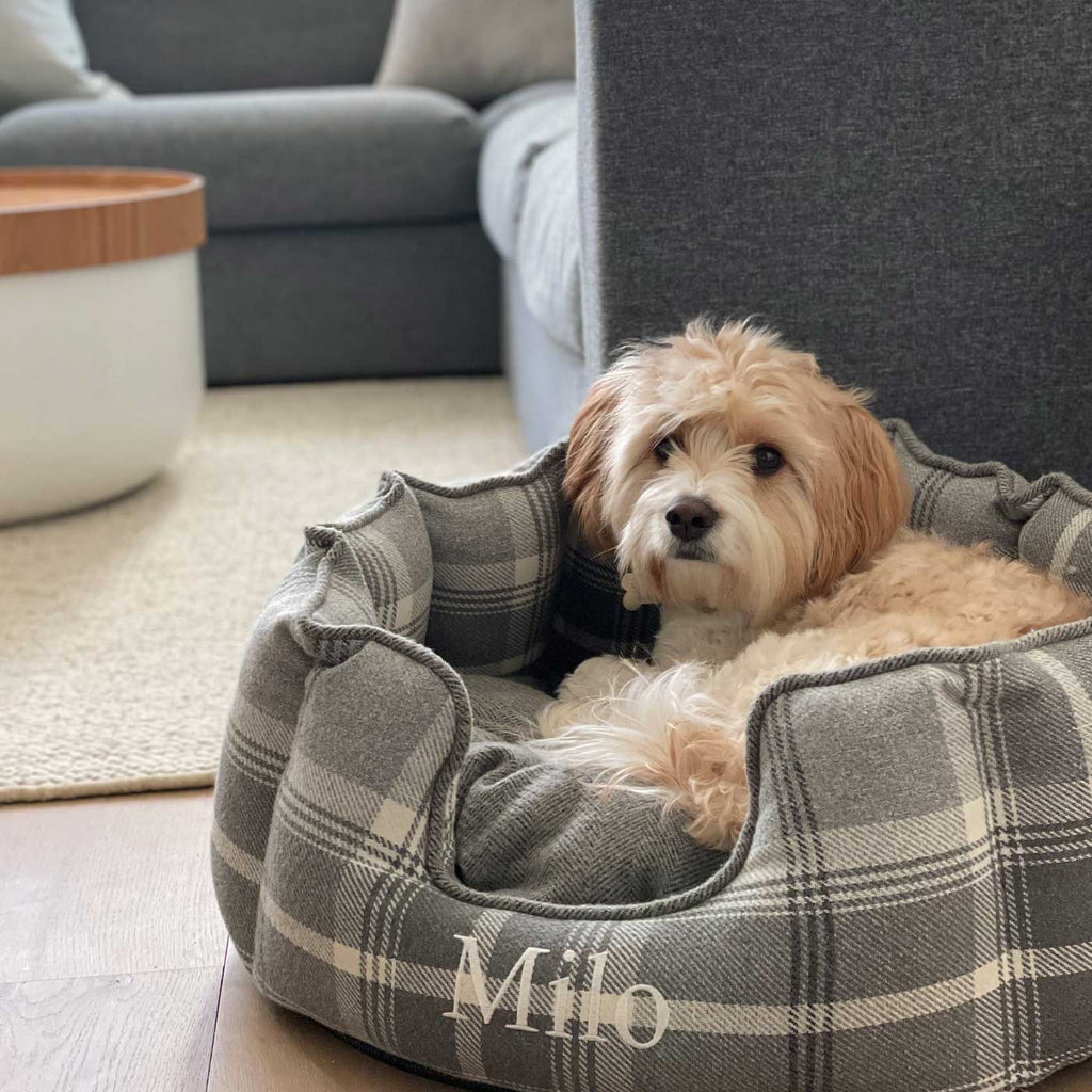 High Wall Bed For Dogs in Balmoral Tweed
