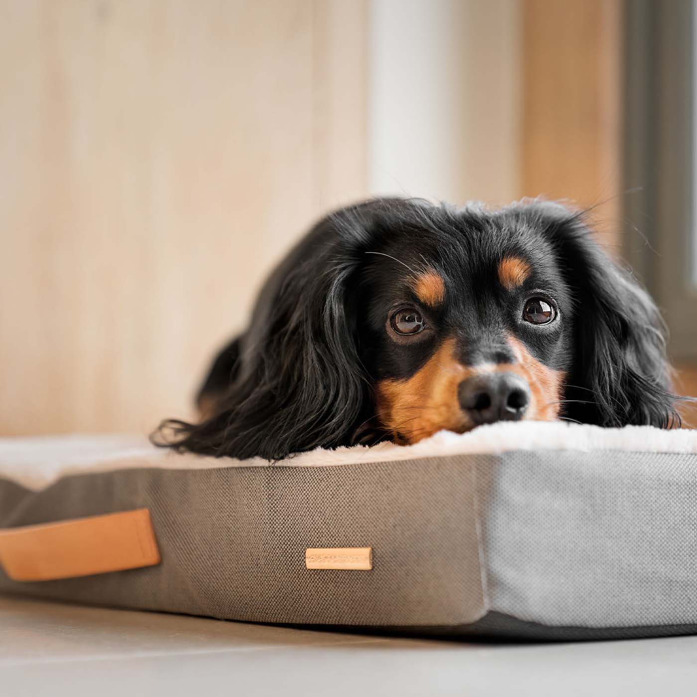 Orthopaedic Mattress in Slate Variant 2