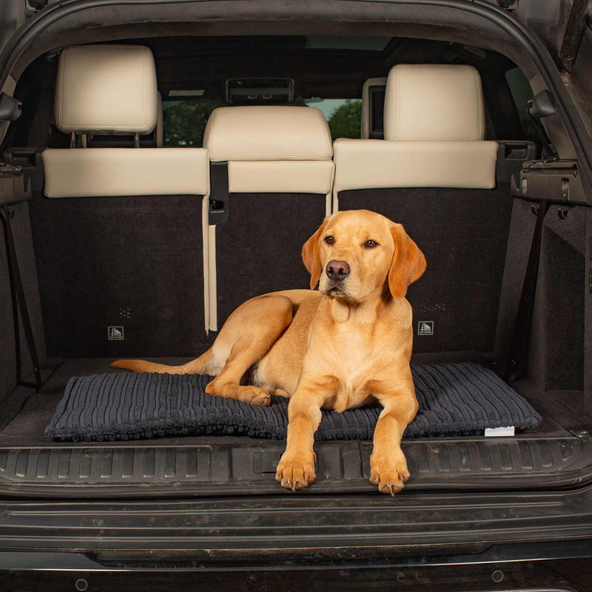 Travel Mat in Essentials Navy
