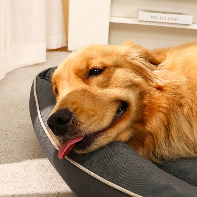 Bite-Resistant Cooling Dog Bed