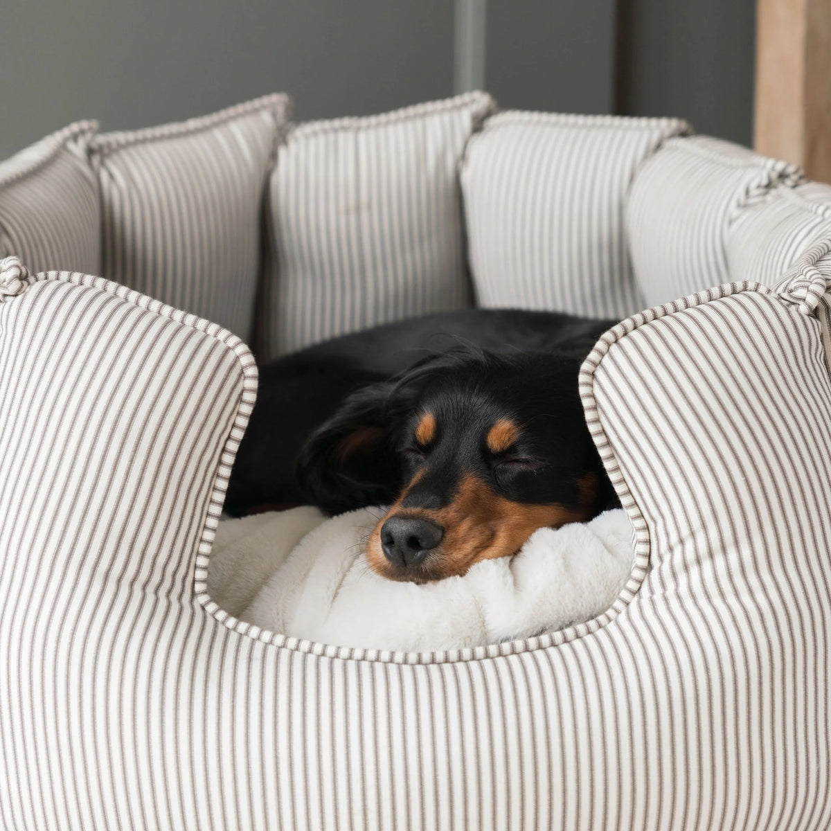 High Wall Bed For Dogs in Spots & Stripes