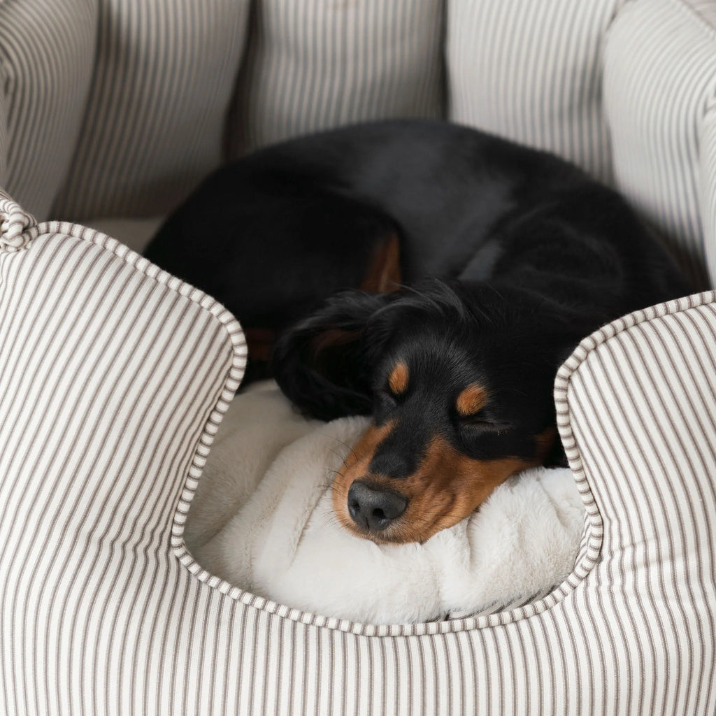 High Wall Bed For Dogs in Spots & Stripes