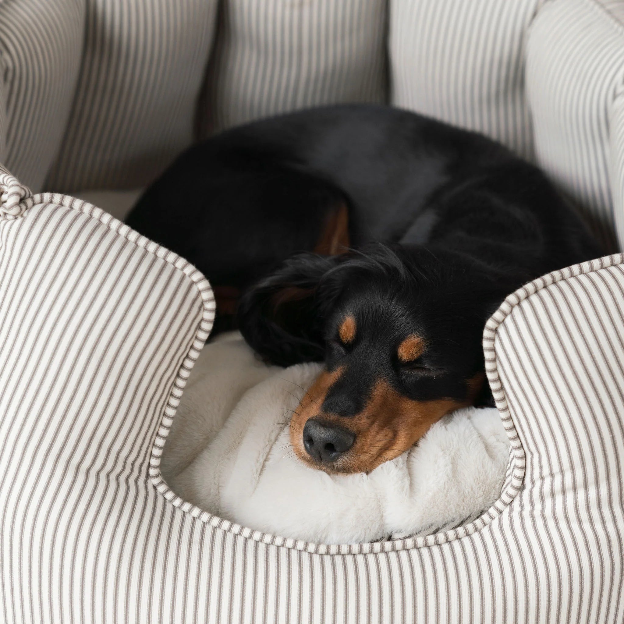 High Wall Bed For Dogs in Spots & Stripes