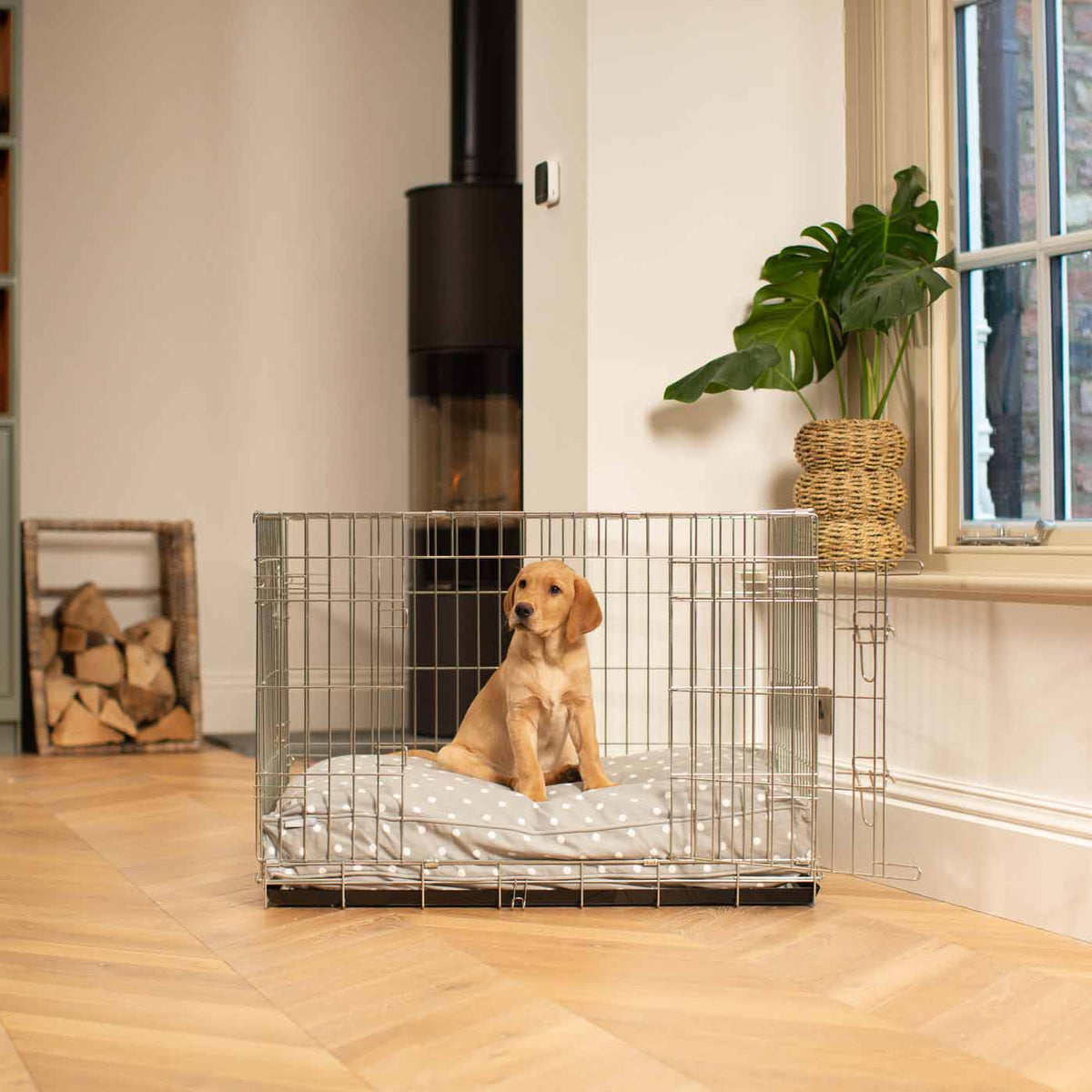Dog Cushion in Grey Spot