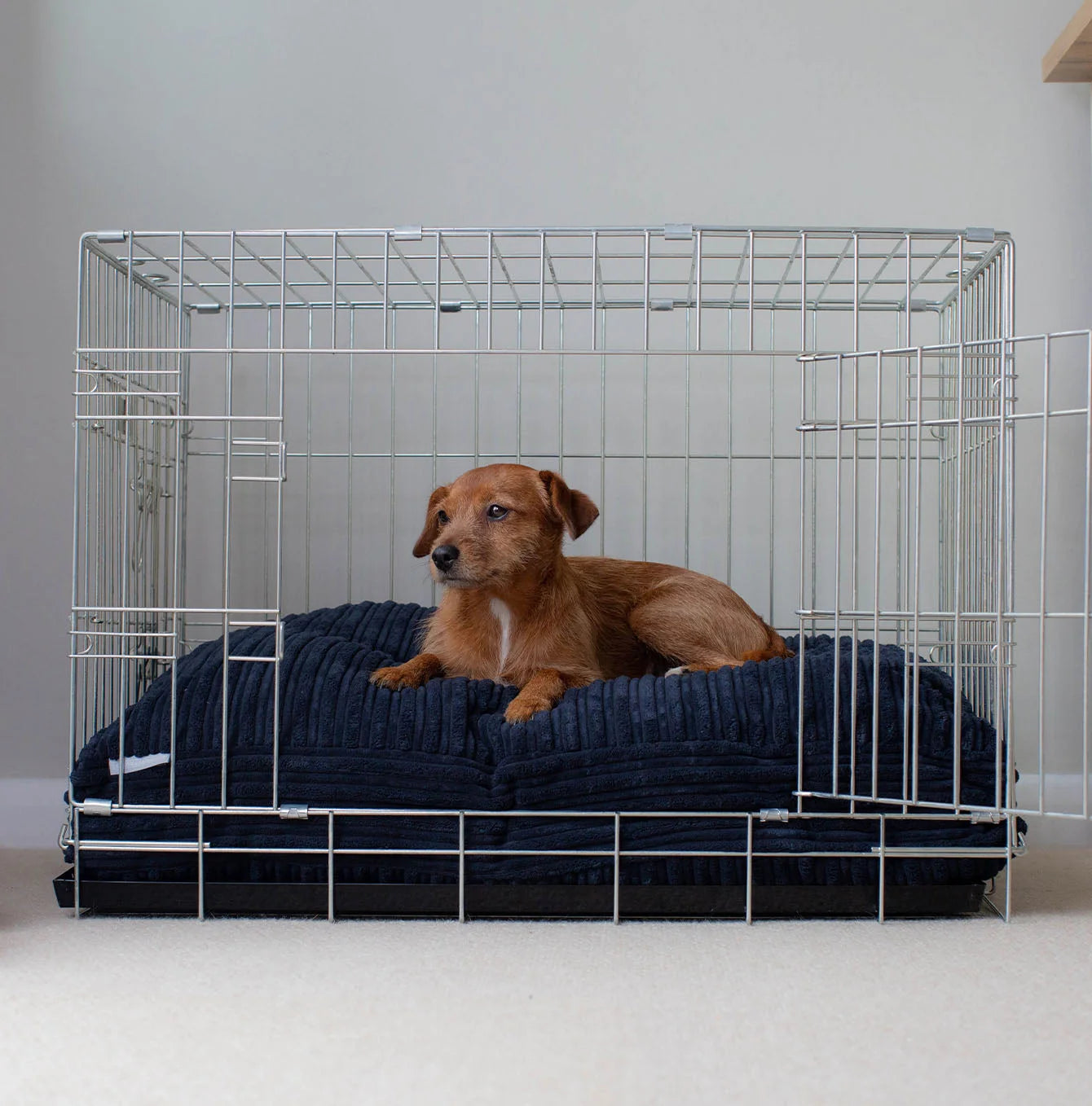 Dog Cushion in Navy Essentials