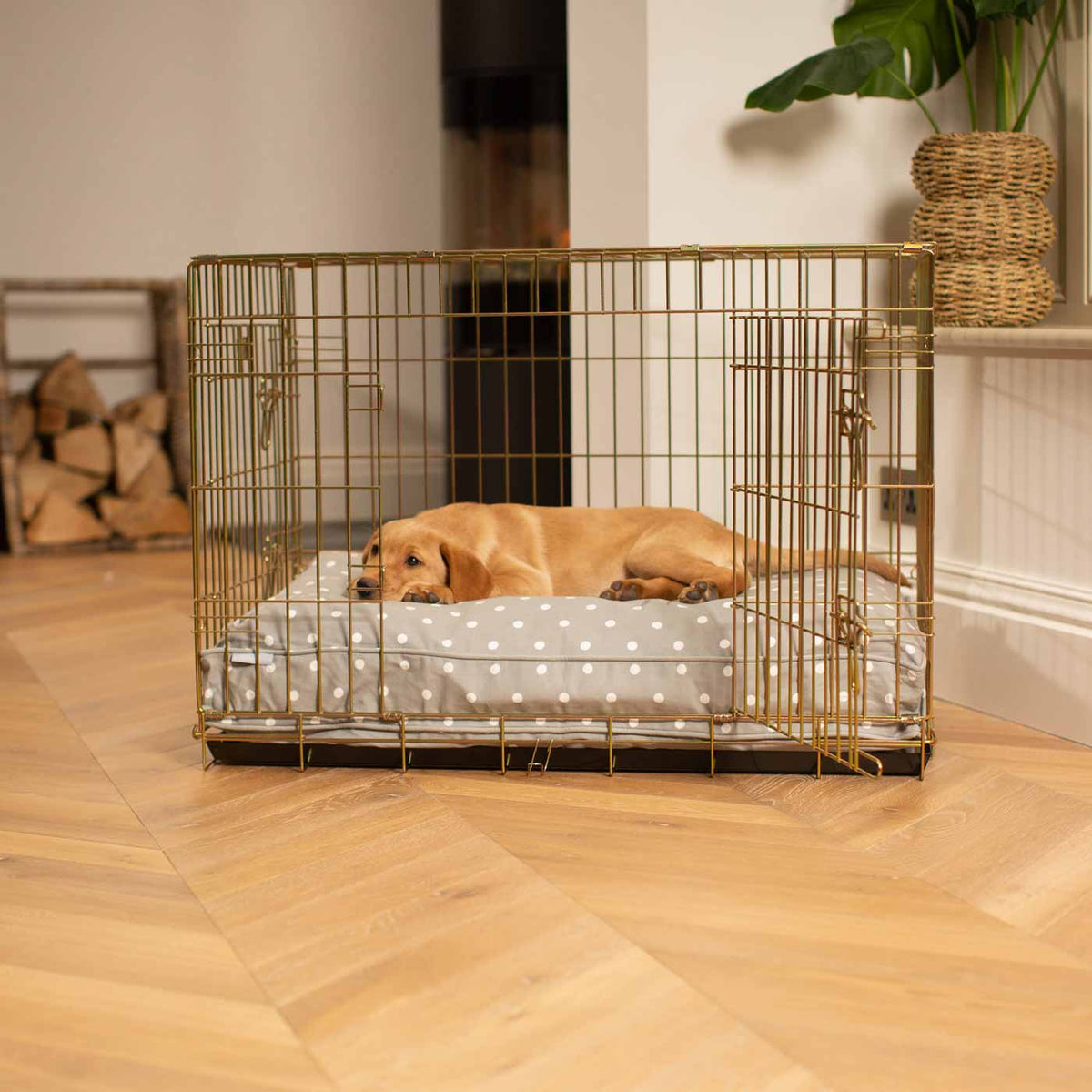 Dog Cushion in Grey Spot