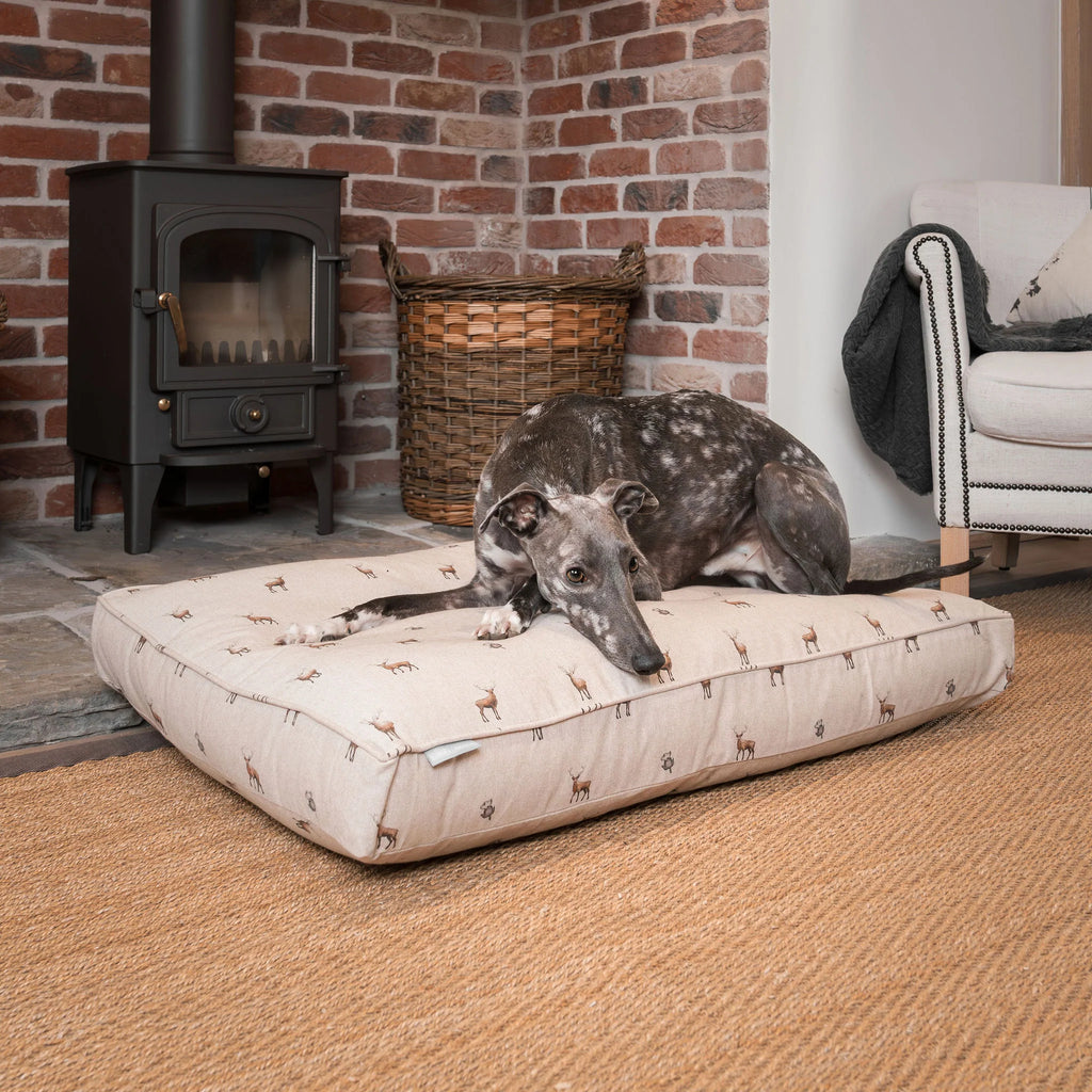 Dog Cushion in Woodland Stag