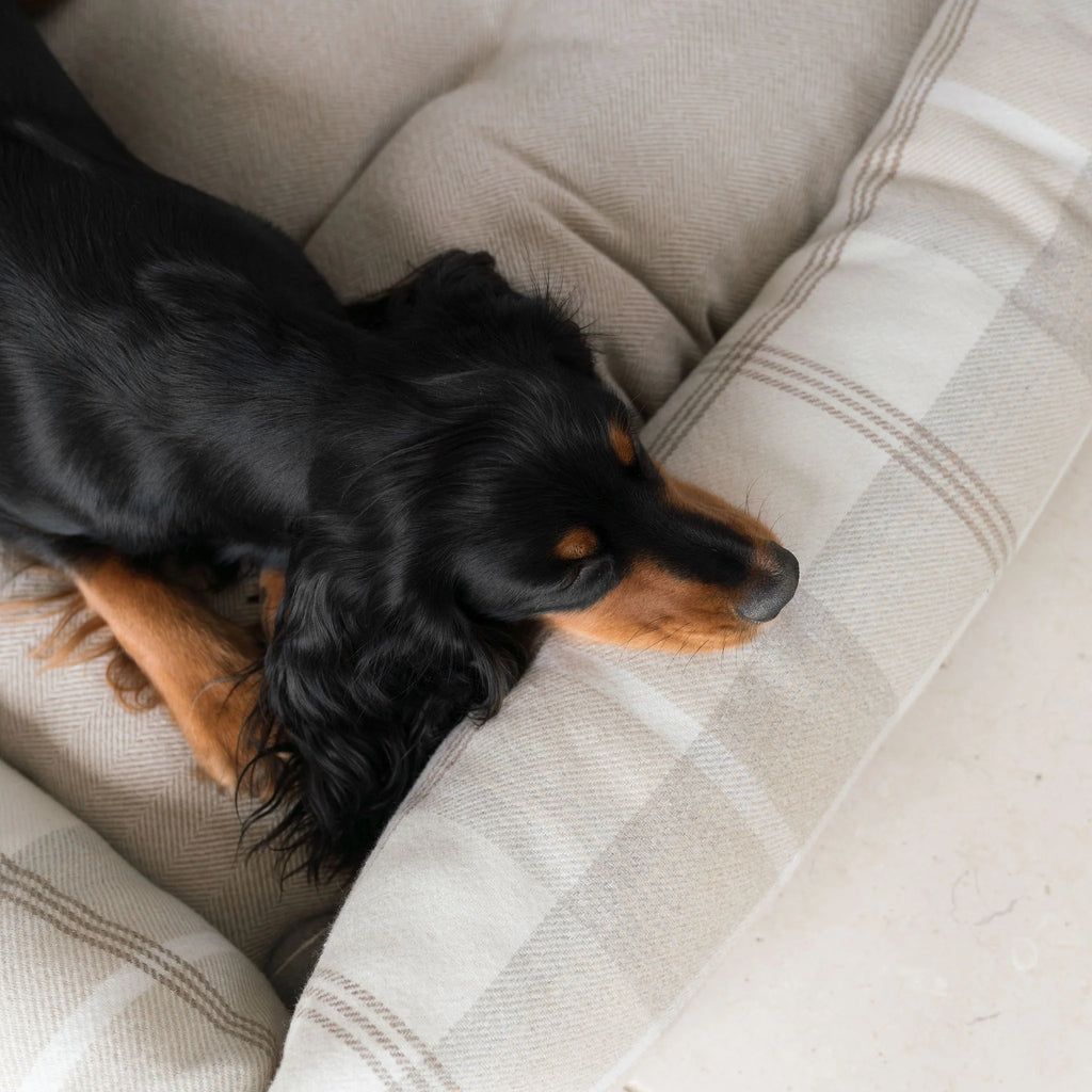 Box Bed For Dogs in Balmoral Tweed