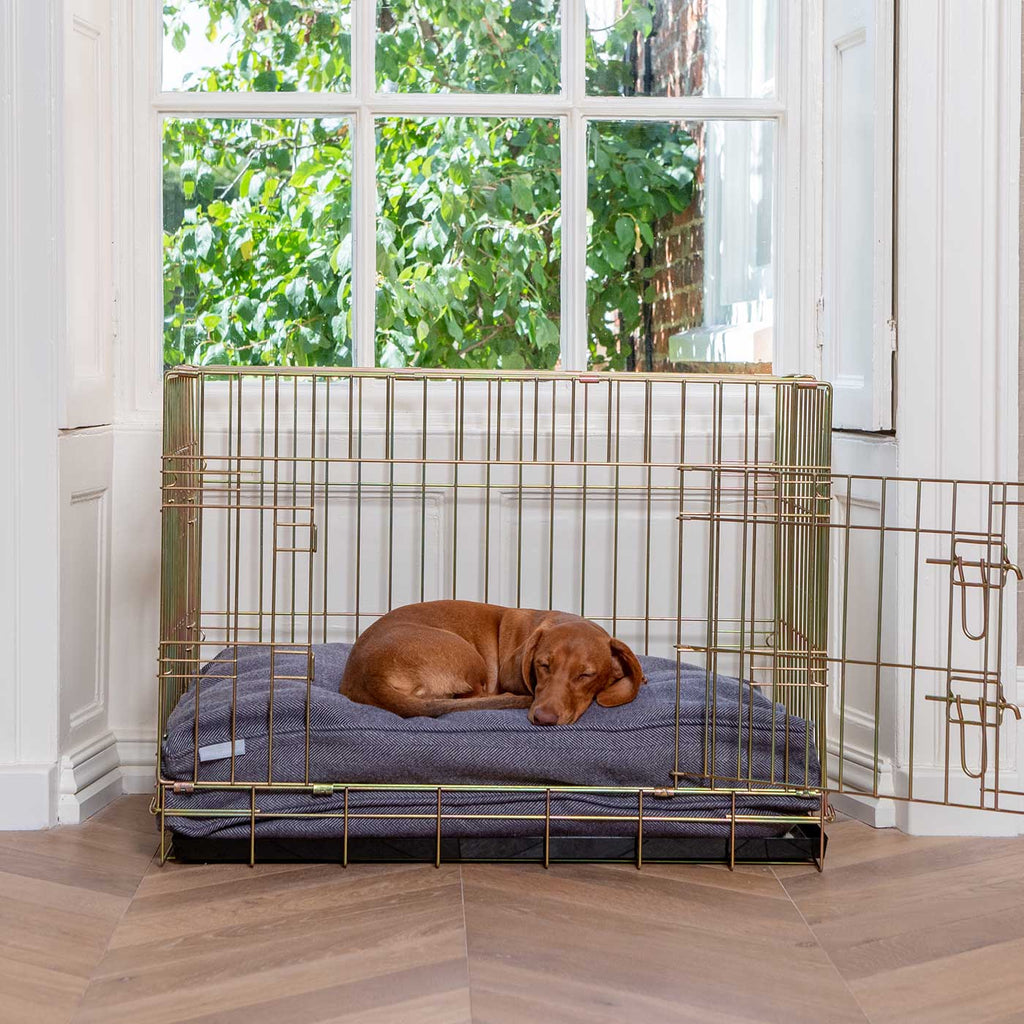 Dog Cushion in Oxford Herringbone Tweed