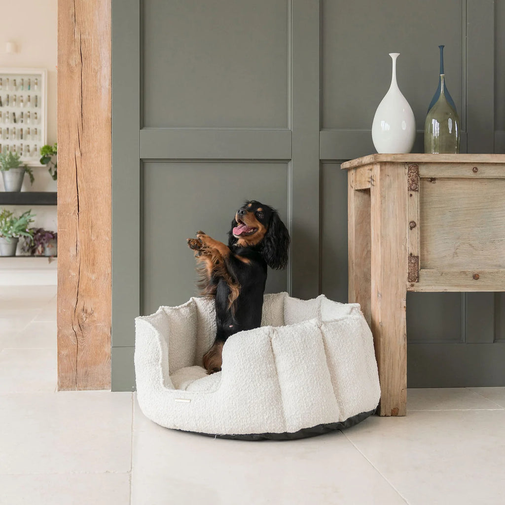 High Wall Bed For Dogs in Bouclé